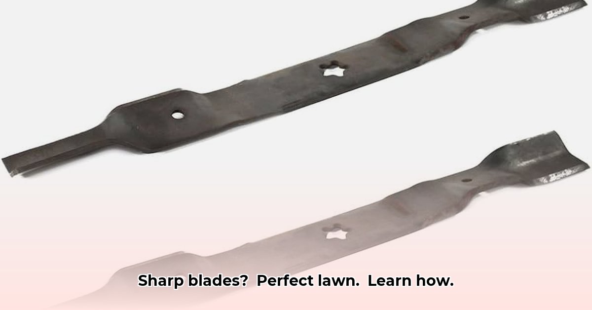 craftsman-tractor-mower-blades